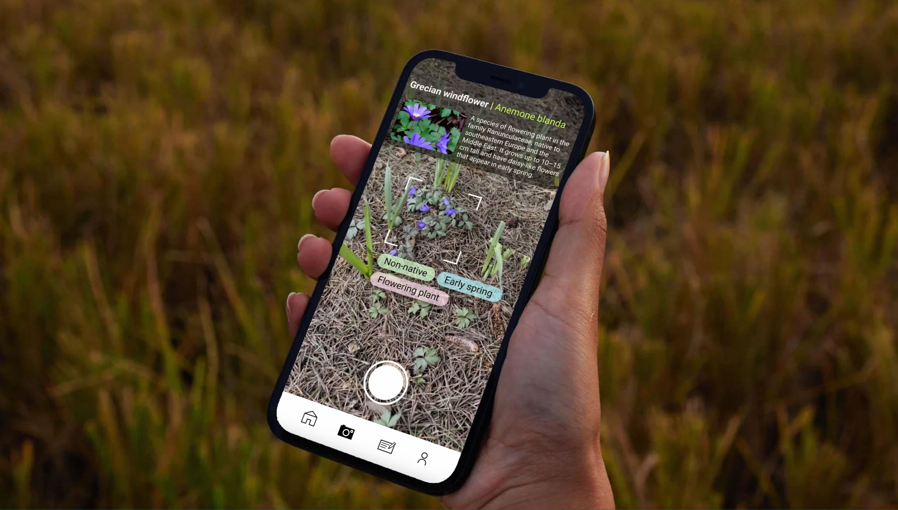 person holding a plantsnapper prototype